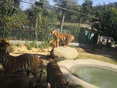 -泉州海丝野生动物世界