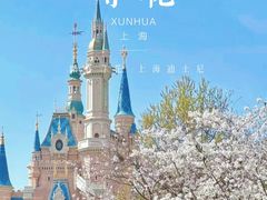 -上海迪士尼度假区