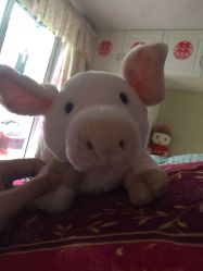 -Nuzzle(静安大悦城店)