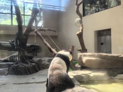 -宁波野生动物园