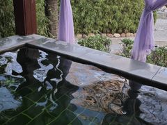 -国御温泉度假小镇