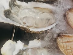 -熹悟海鲜火锅·广式打边炉