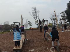 -铁山坪森林公园