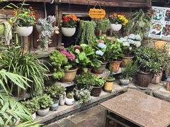 -龙姐私房菜(和顺古镇店)