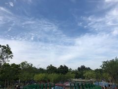 -永定河休闲森林公园