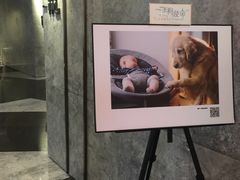 -百美汇影城(LUXE嘉里中心店)