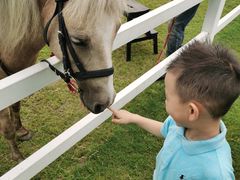 -松声马术俱乐部