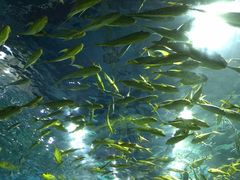 -福州罗源湾海洋世界旅游区