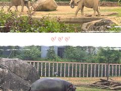 -杭州野生动物世界