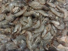 -鑫海汇海鲜烤肉火锅自助(七彩城店)