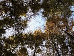 -白鹭湾湿地公园