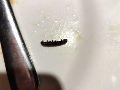 -星伦多自助料理·涮烤一体(嘉兴八佰伴店)