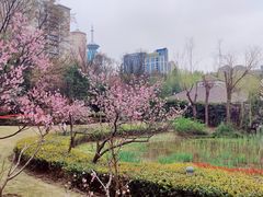 -新虹桥中心花园