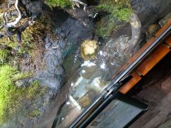 -酷嗒动物文化乐园(cutezoo西溪乐天城店)