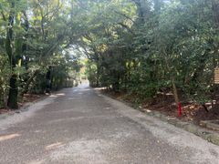 -热田神宫