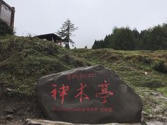 -硗碛藏寨·神木垒景区