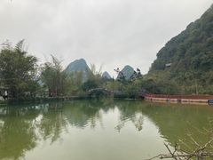 -靖西鹅泉风景区