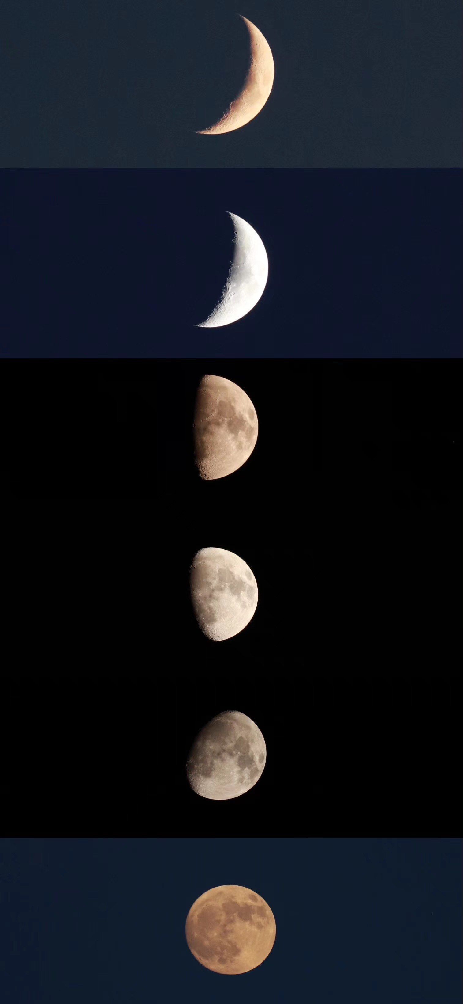 9月杭州的月亮🌙