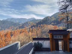 -九华山风景区
