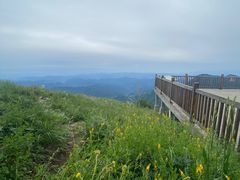 -白草畔自然风景区