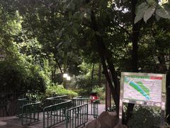 -成都市活水公园
