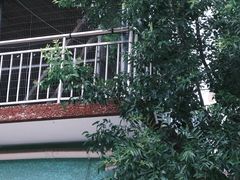 -富士相机·拍立得instax(三里屯soho商场店)