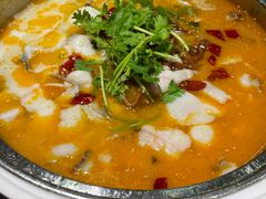 肥肠鱼-龙梅肥肠鱼(明瓦廊店)