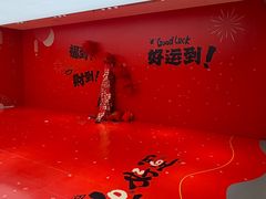 -凯德MALL(望京店)