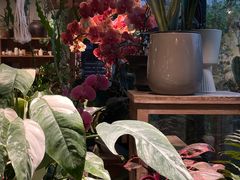 -自由生长植物工作室(深港花卉中心店)