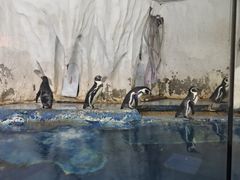 -太平洋海底世界