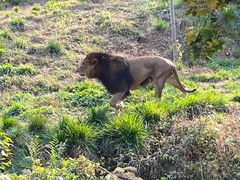 -石家庄市动物园