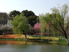 -圩墩遗址公园