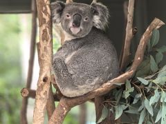 -费瑟代尔野生动物园