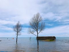 -青海湖国家重点风景名胜区