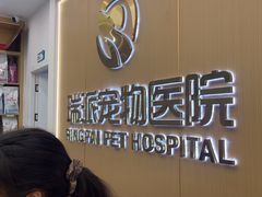 -瑞派康怡24h宠物医院·犬猫医疗中心·微创绝育(瑞景分院)