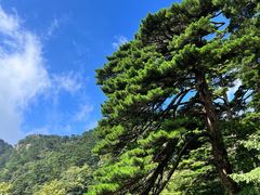 -黄山风景区