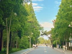 -日照海滨国家森林公园