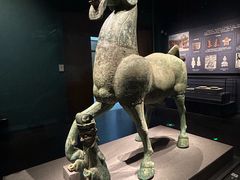 -广西壮族自治区博物馆