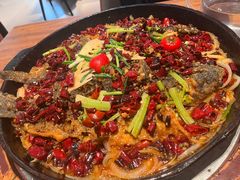 -老板恋上鱼(恒隆广场店)