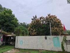 -东湖小天池真人CS彩弹野战基地