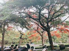 -三妹小龙虾·黄油蟹(华侨城总店)