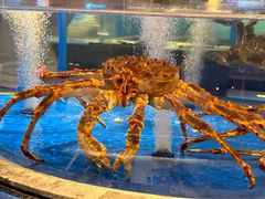 -上和臻品中国菜(花园街店)