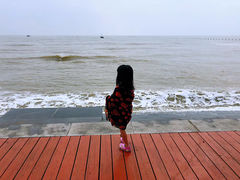 -刘家湾赶海园