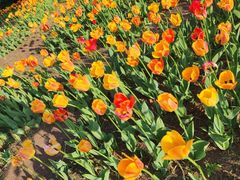 -长春公园(普阳街道)