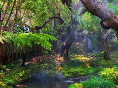 -Chom Cafe and Restaurant