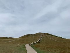 -御道口草原森林风景区
