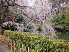 -京都御所