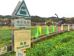 -红山村