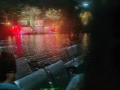 -天目湖山水园