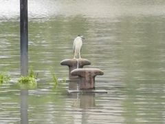 -苏州河梦清园环保主题公园